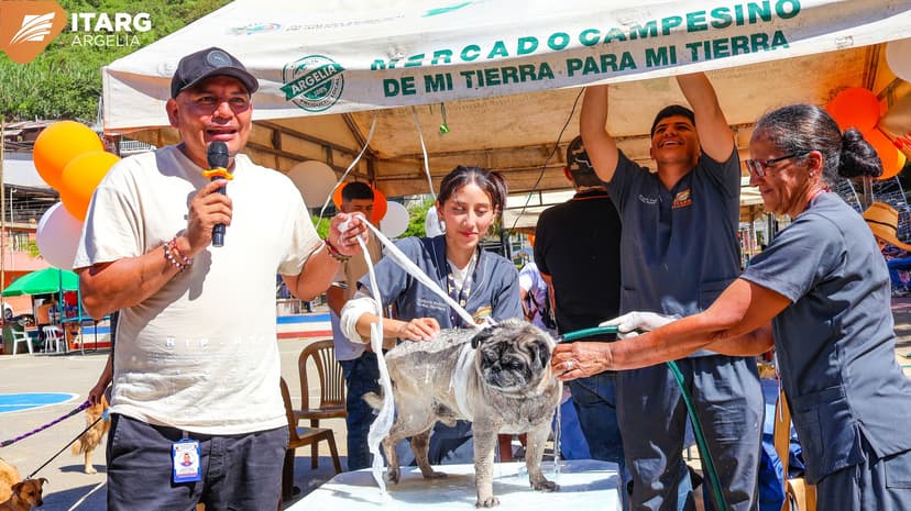 Auxiliar Veterinaria 3