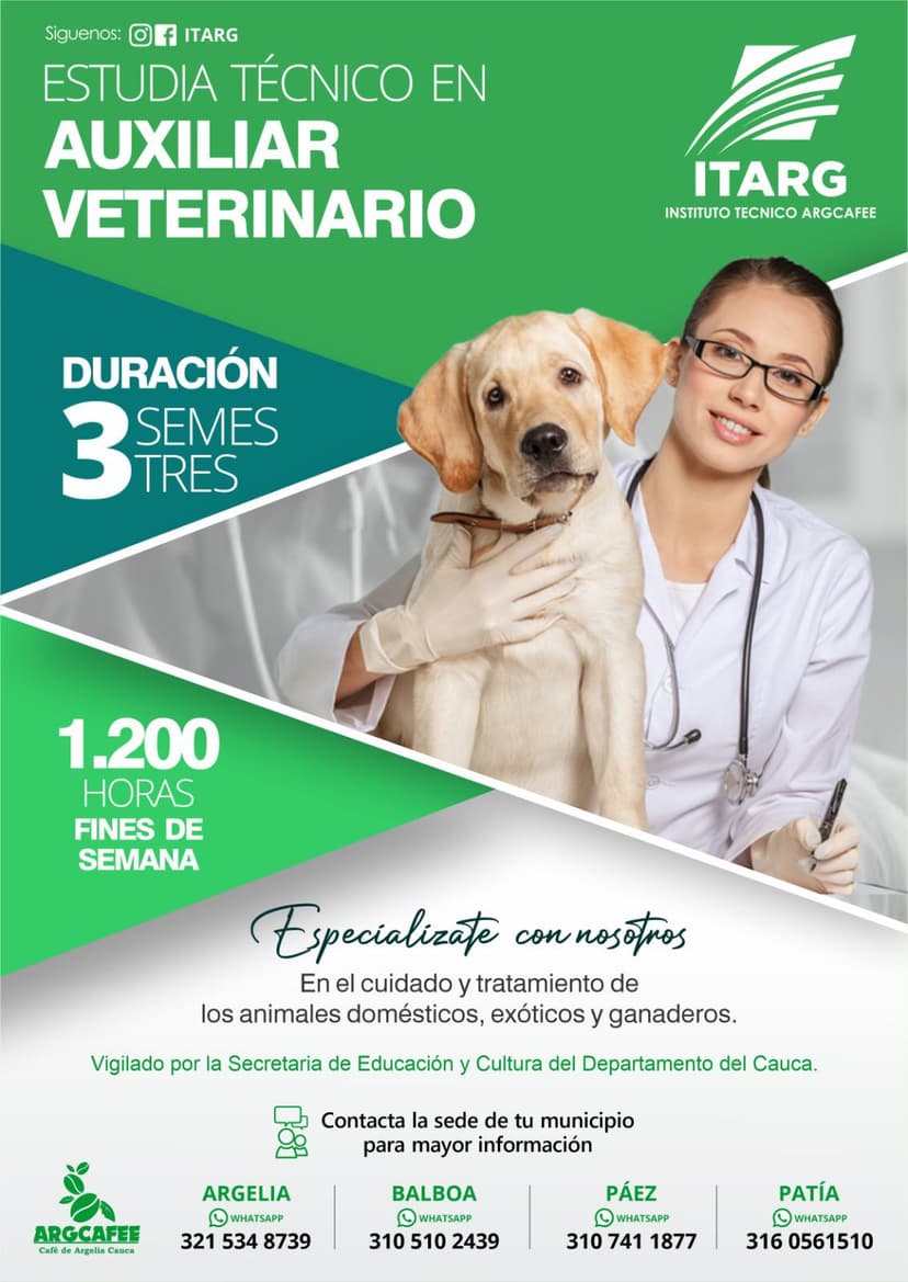 Auxiliar Veterinaria 4