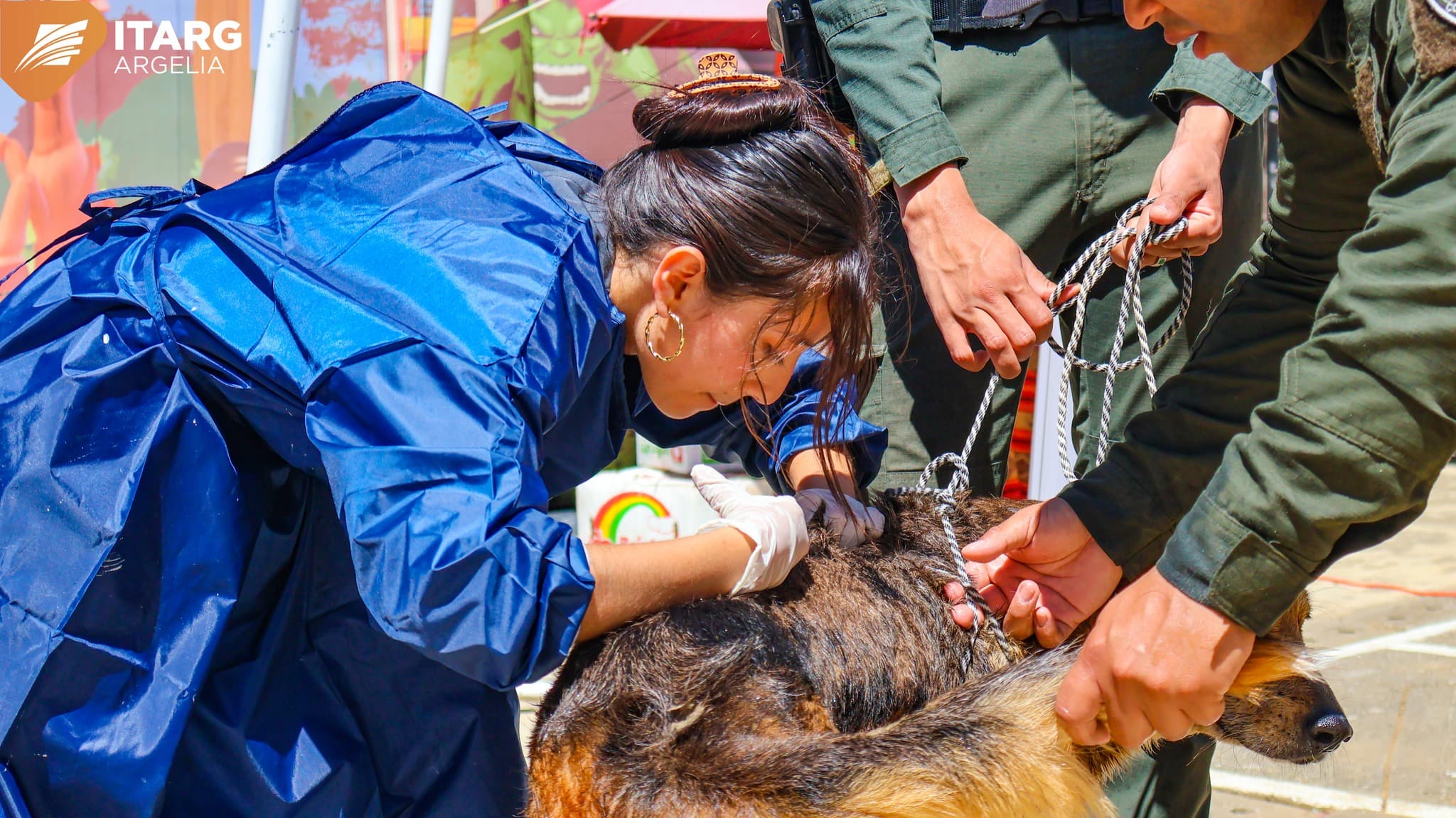 Auxiliar Veterinaria